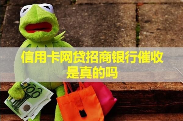 信用卡网贷招商银行催收