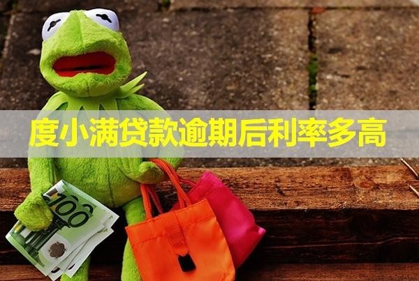 度小满贷款逾期后利率多高