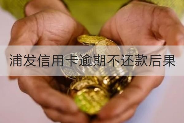 浦发信用卡逾期不还款后果有哪些？竟然这么严重
