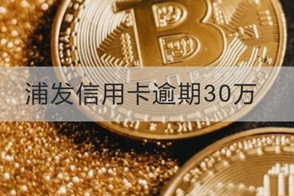 浦发信用卡逾期30万