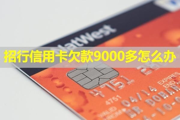 招行信用卡欠款9000