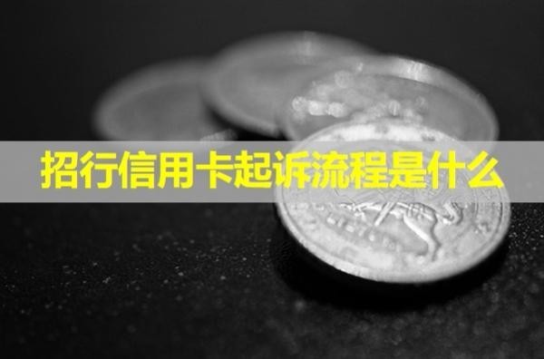 招行信用卡起诉流程
