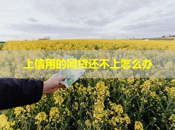 上信用的网贷还不上怎么办
