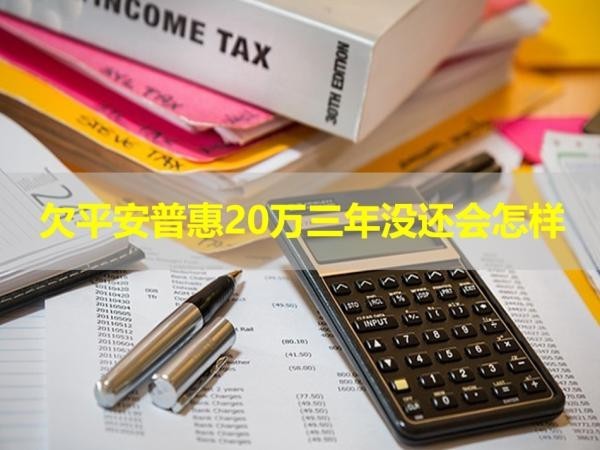 欠平安普惠20万三年没还