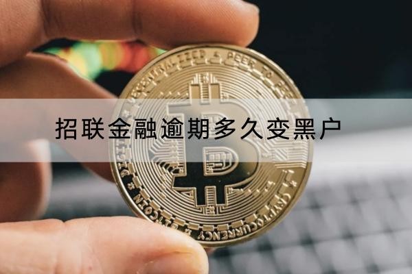 招联金融逾期多久变黑户