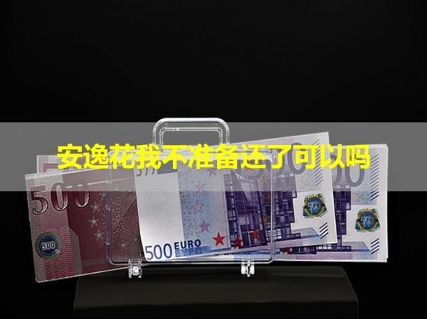 安逸花我不准备还了可以吗？万万不可以