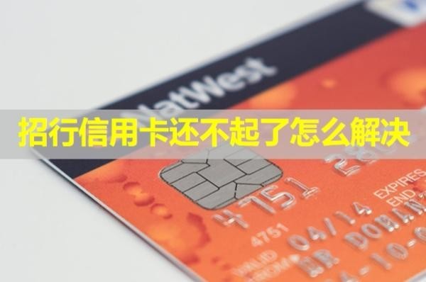 招行信用卡还不起了