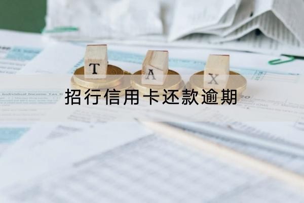招行信用卡还款逾期