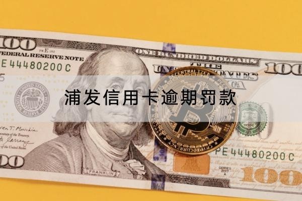 浦发信用卡逾期罚款