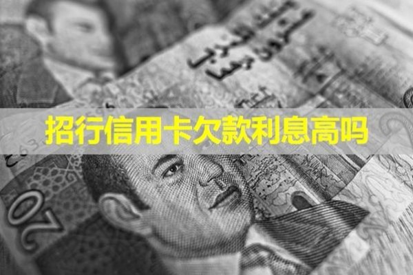招行信用卡欠款利息