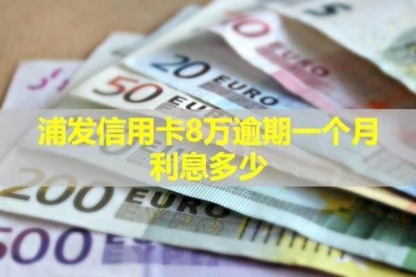 浦发信用卡8万逾期一个月