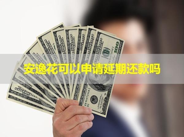 安逸花可以申请延期还款吗