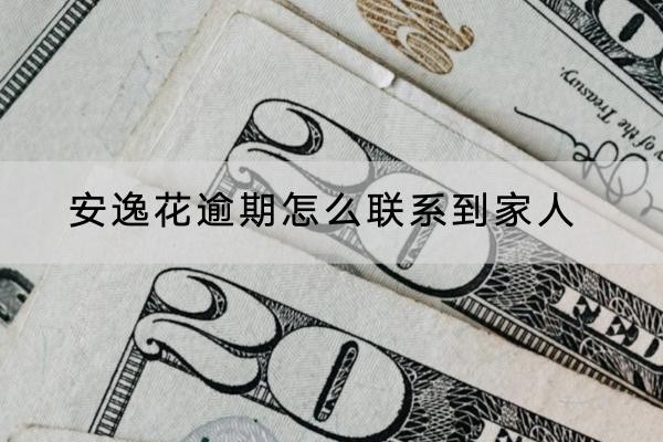 安逸花逾期怎么联系到家人
