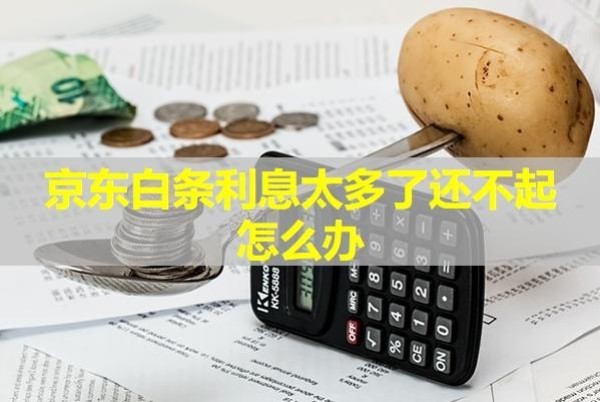 京东白条利息太多了还不起