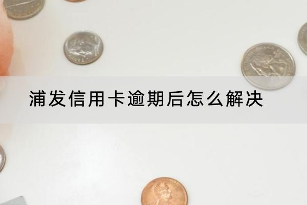 浦发信用卡逾期后怎么解决