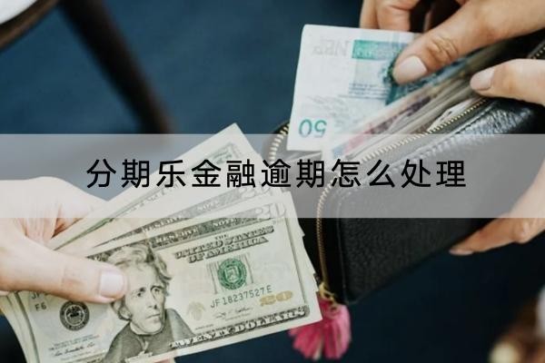 分期乐金融逾期怎么处理