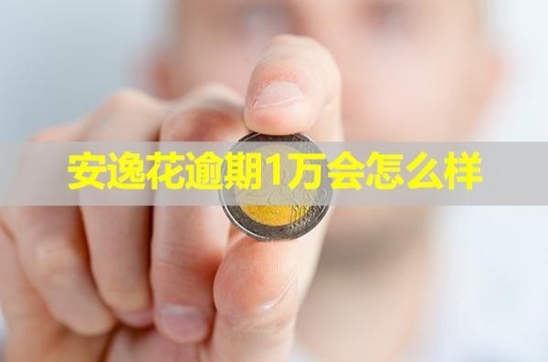 安逸花逾期1万会怎么样