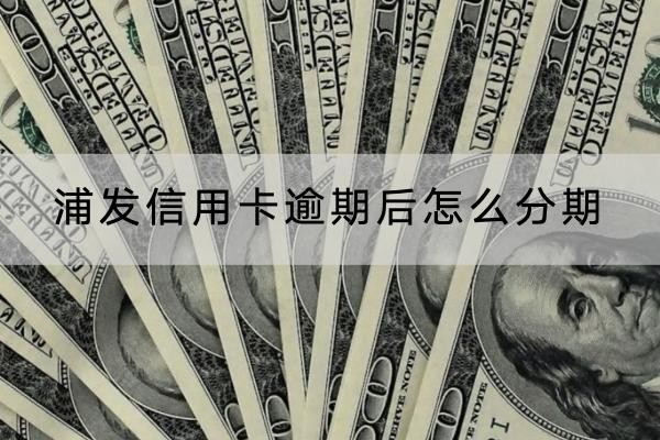 浦发信用卡逾期后怎么分期