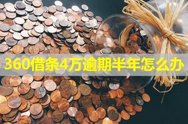 360借条4万逾期半年