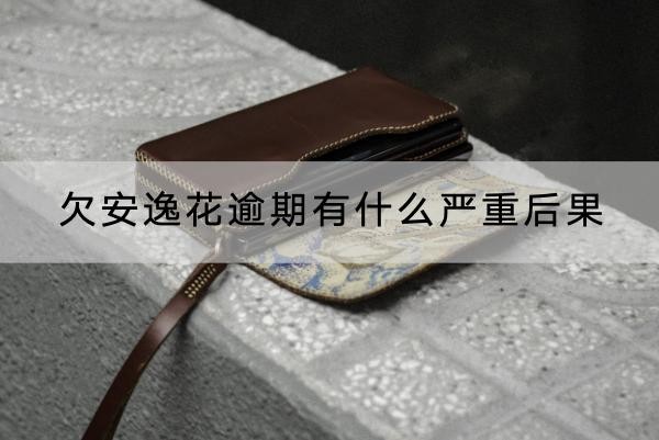 欠安逸花逾期有什么严重后果