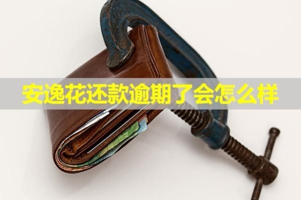 安逸花还款逾期了会怎么样