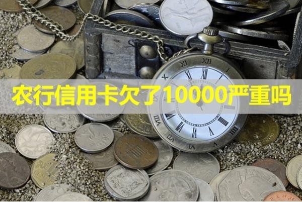 农行信用卡欠了10000