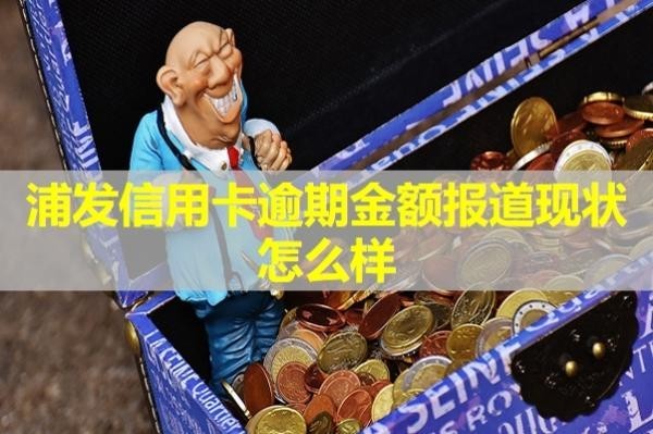 浦发信用卡逾期金额报道
