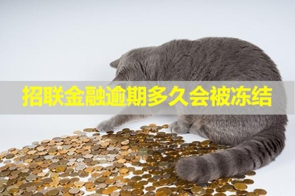 招联金融逾期多久会被冻结