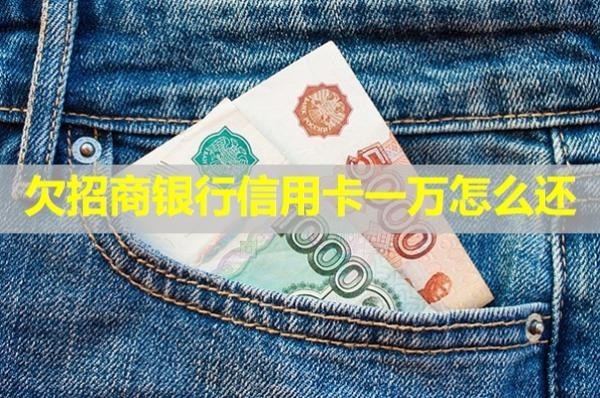欠招商银行信用卡一万