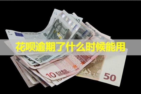 花呗逾期了什么时候能用
