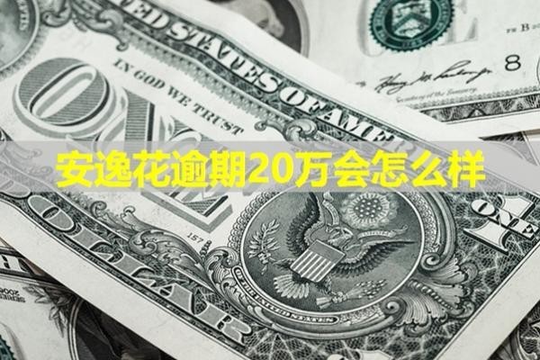 安逸花逾期20万会怎么样