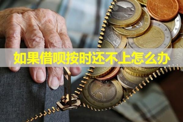 如果借呗按时还不上怎么办