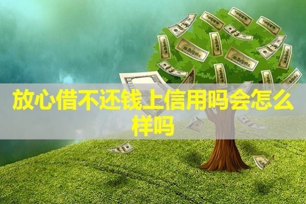 放心借不还钱上信用吗会怎么样吗
