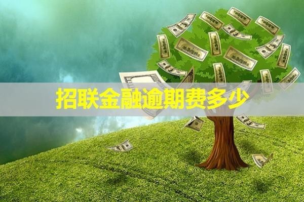 招联金融逾期费多少