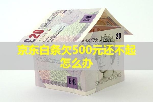 京东白条欠500元还不起