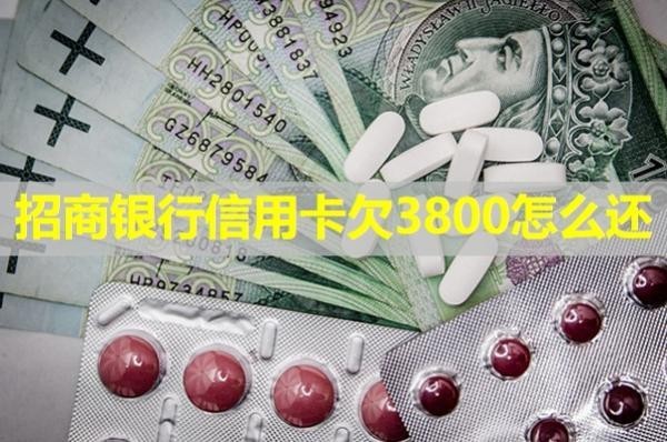 招商银行信用卡欠3800