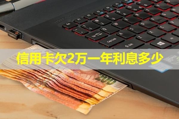 信用卡欠2万一年利息