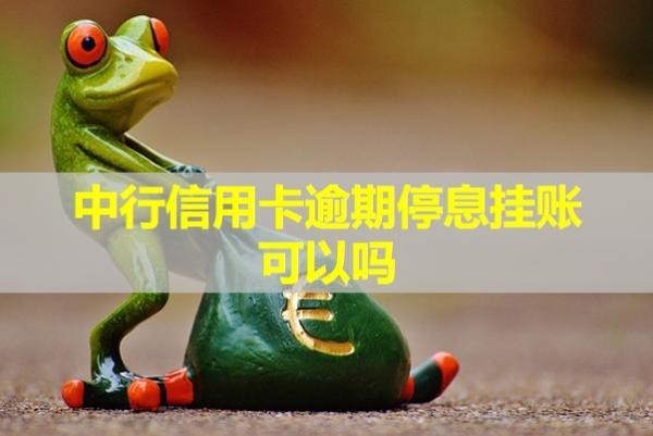 中行信用卡逾期停息挂账