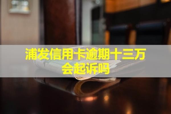 浦发信用卡逾期十三万