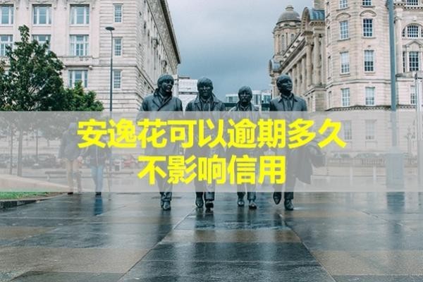 安逸花可以逾期多久不影响信用