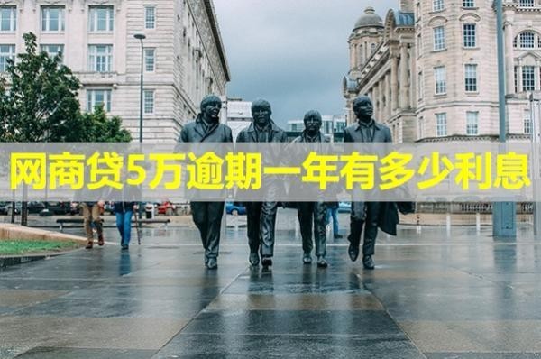 网商贷5万逾期一年有多少