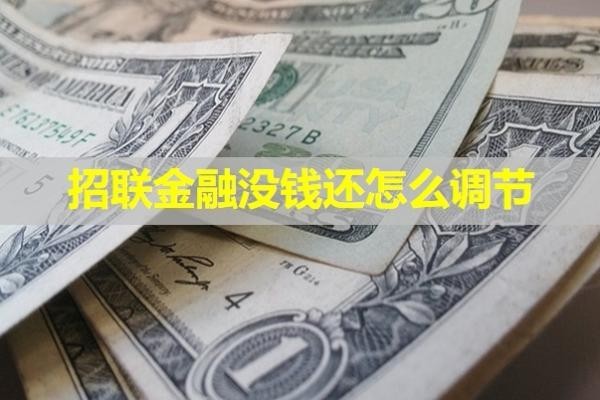 招联金融没钱还怎么调节
