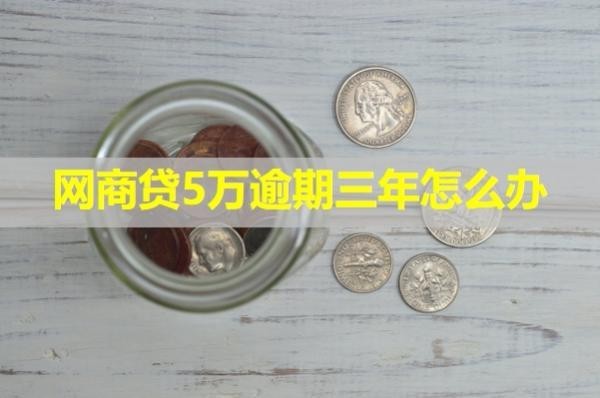 网商贷5万逾期三年怎么办