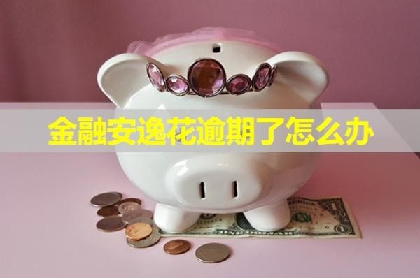 金融安逸花逾期了怎么办