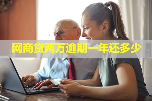 网商贷两万逾期一年还多少