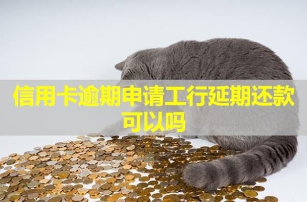 信用卡逾期申请工行
