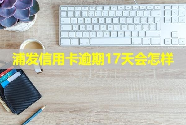 浦发信用卡逾期17天