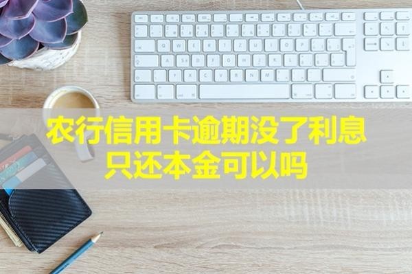 农行信用卡逾期没了利息