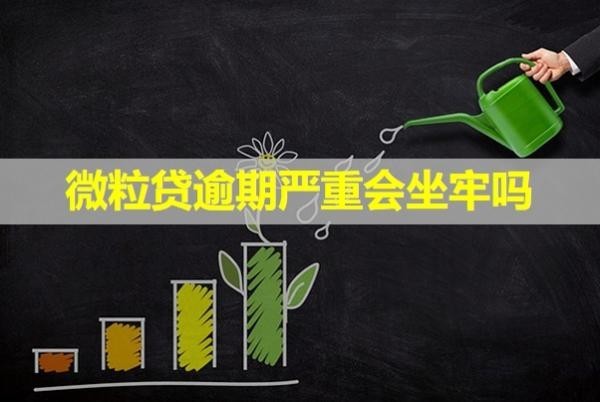 微粒贷逾期严重会坐牢吗