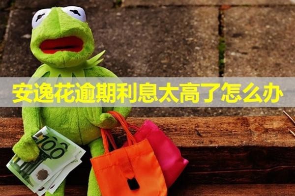 安逸花逾期利息太高了怎么办